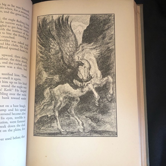 Vintage Hardcover Thunderhead by Mary O’Hara 1943 - Classic Horse Novel - Picture 8 of 11